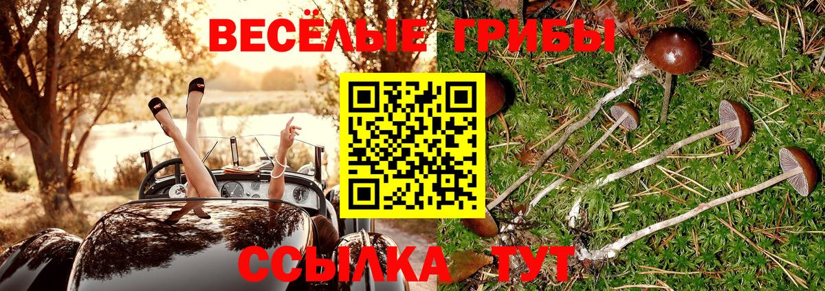 Псилоцибиновые грибы Cubensis Нижнеудинск