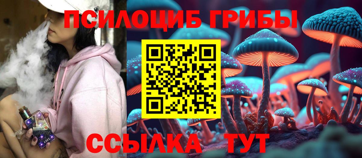 Нижнеудинск  цена наркотик  Вход с VPN  Галлюциногенные грибы GOLDEN TEACHER 